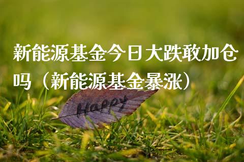 新能源基金今日大跌敢加仓吗（新能源基金暴涨）_https://www.kuaijiepai.net_投资理财_第1张