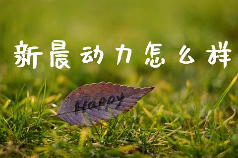 新晨动力怎么样_https://www.kuaijiepai.net_国际期货_第1张