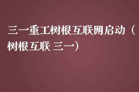三一重工树根互联网启动（树根互联 三一）_https://www.kuaijiepai.net_国际股建_第1张