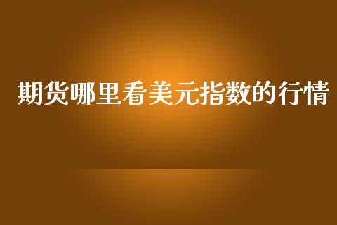 期货哪里看美元指数的行情_https://www.kuaijiepai.net_期货资讯_第1张