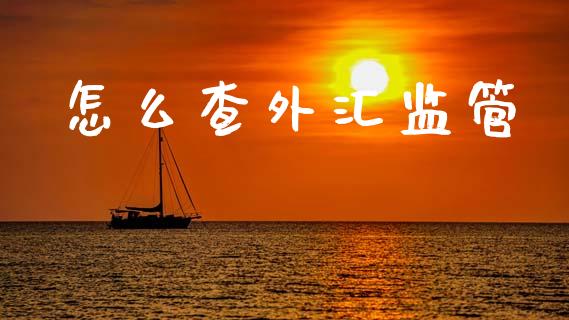 怎么查外汇监管_https://www.kuaijiepai.net_期货理财_第1张