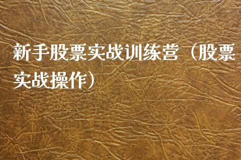 新手股票实战训练营（股票实战操作）_https://www.kuaijiepai.net_新股新闻_第1张