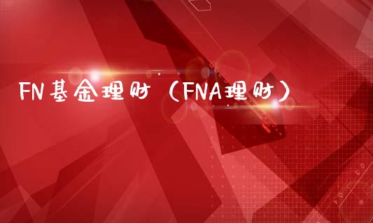 FN基金理财（FNA理财）_https://www.kuaijiepai.net_投资理财_第1张