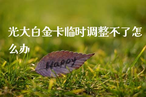 光大白金卡临时调整不了怎么办_https://www.kuaijiepai.net_股票理论_第1张