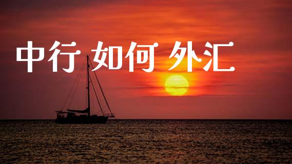 中行 如何 外汇_https://www.kuaijiepai.net_期货资讯_第1张