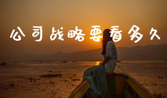公司战略要看多久_https://www.kuaijiepai.net_股票理论_第1张