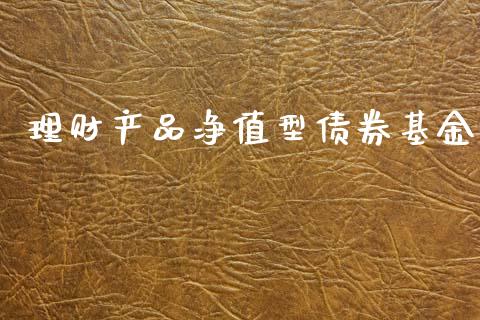 理财产品净值型债券基金_https://www.kuaijiepai.net_期货理财_第1张