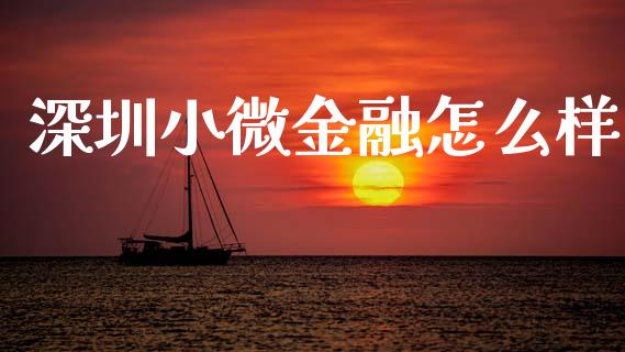深圳小微金融怎么样_https://www.kuaijiepai.net_国际股建_第1张