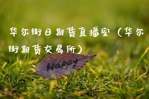 华尔街日期货直播室（华尔街期货交易所）_https://www.kuaijiepai.net_期货在线_第1张