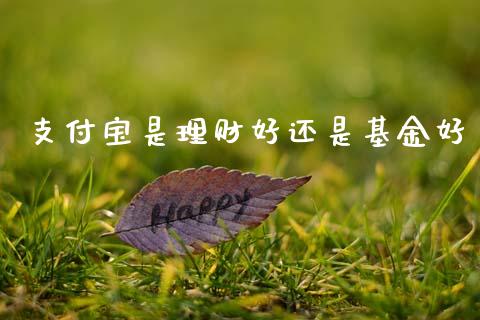 支付宝是理财好还是基金好_https://www.kuaijiepai.net_期货理财_第1张