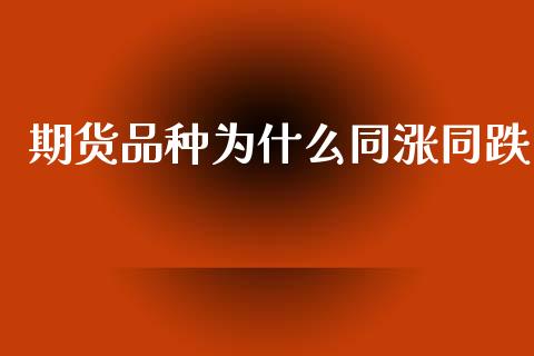 期货品种为什么同涨同跌_https://www.kuaijiepai.net_投资理财_第1张