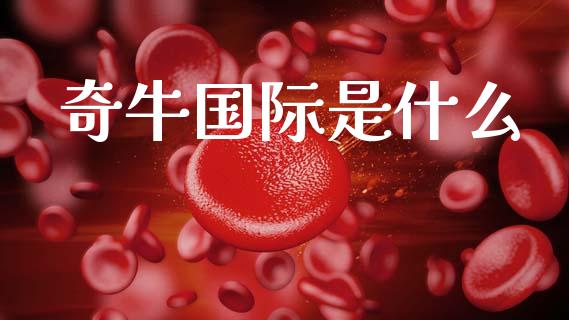 奇牛国际是什么_https://www.kuaijiepai.net_期货资讯_第1张