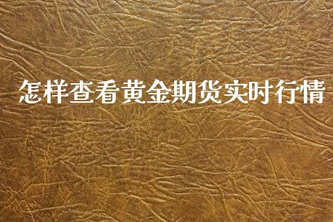 怎样查看黄金期货实时行情_https://www.kuaijiepai.net_期货资讯_第1张