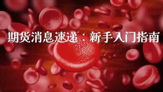 期货消息速递:新手入门指南_投资理财_第1张_快捷排财经网 期货消息速递:新手入门指南_https://www.kuaijiepai.net_投资理财_第1张