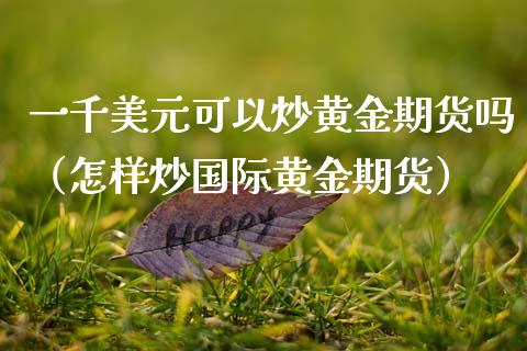 一千美元可以炒黄金期货吗（怎样炒国际黄金期货）_https://www.kuaijiepai.net_国际期货_第1张
