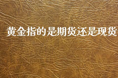 黄金指的是期货还是现货_https://www.kuaijiepai.net_国际期货_第1张