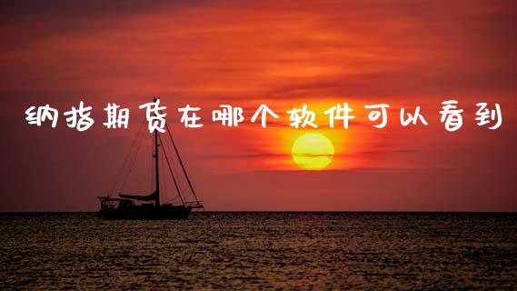 纳指期货在哪个软件可以看到_https://www.kuaijiepai.net_国际期货_第1张