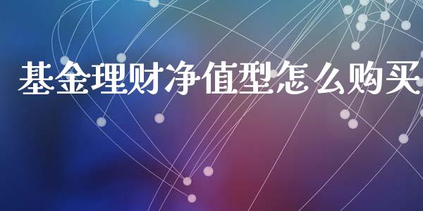 基金理财净值型怎么购买_https://www.kuaijiepai.net_投资理财_第1张