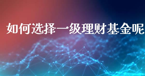 如何选择一级理财基金呢_https://www.kuaijiepai.net_投资理财_第1张