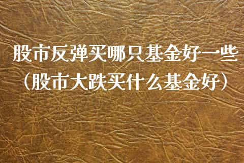 股市反弹买哪只基金好一些（股市大跌买什么基金好）_https://www.kuaijiepai.net_投资理财_第1张