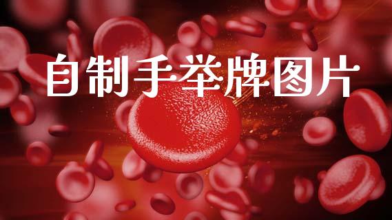 自制手举牌图片_https://www.kuaijiepai.net_期货在线_第1张