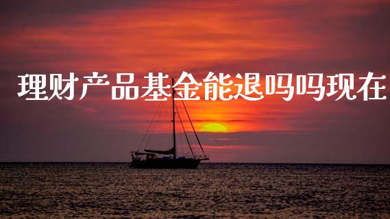 理财产品基金能退吗吗现在_https://www.kuaijiepai.net_投资理财_第1张