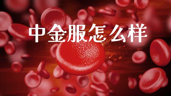 中金服怎么样_https://www.kuaijiepai.net_期货资讯_第1张