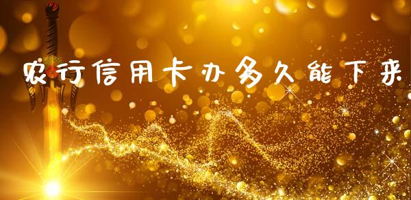 农行信用卡办多久能下来_https://www.kuaijiepai.net_投资理财_第1张