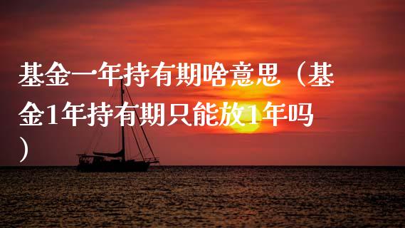 基金一年持有期啥意思（基金1年持有期只能放1年吗）_https://www.kuaijiepai.net_期货理财_第1张