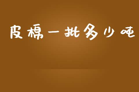 皮棉一批多少吨_https://www.kuaijiepai.net_国际期货_第1张