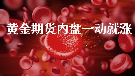 黄金期货内盘一动就涨_https://www.kuaijiepai.net_期货资讯_第1张