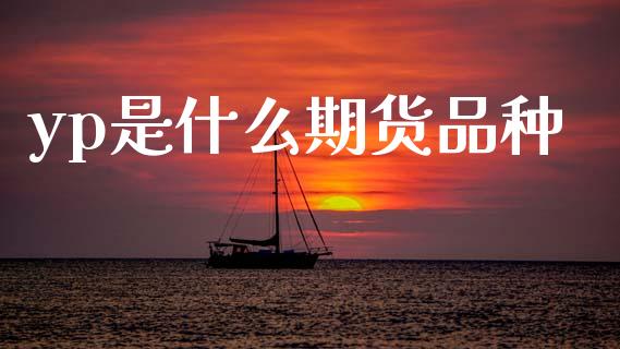 yp是什么期货品种_https://www.kuaijiepai.net_投资理财_第1张