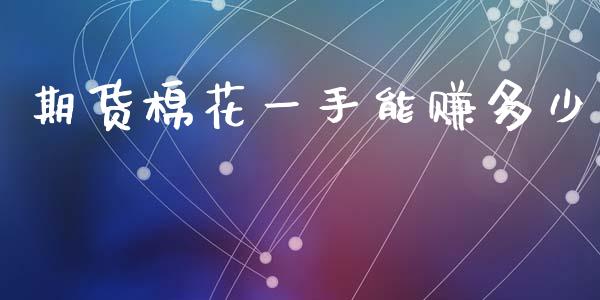 期货棉花一手能赚多少_https://www.kuaijiepai.net_国际期货_第1张