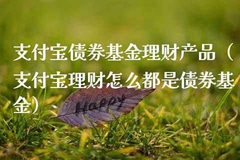 支付宝债券基金理财产品（支付宝理财怎么都是债券基金）_https://www.kuaijiepai.net_期货理财_第1张