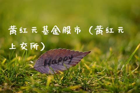 黄红元基金股市（黄红元 上交所）_https://www.kuaijiepai.net_投资理财_第1张
