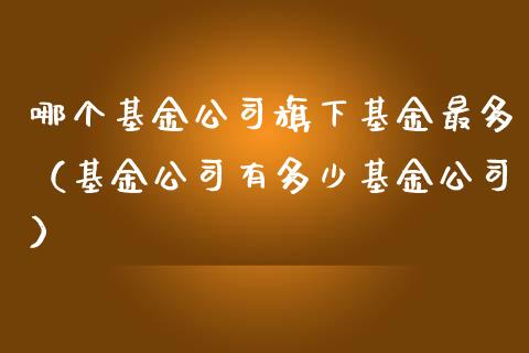 哪个基金公司旗下基金最多（基金公司有多少基金公司）_https://www.kuaijiepai.net_投资理财_第1张