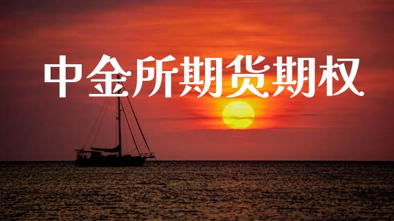中金所期货期权_https://www.kuaijiepai.net_股票理论_第1张