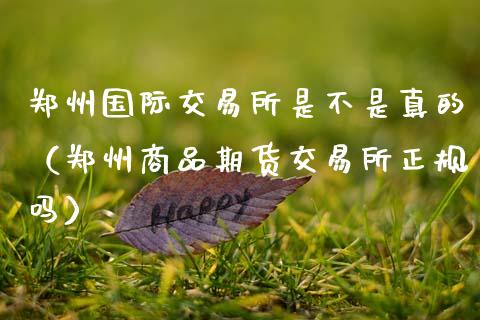 郑州国际交易所是不是真的（郑州商品期货交易所正规吗）_https://www.kuaijiepai.net_国际期货_第1张