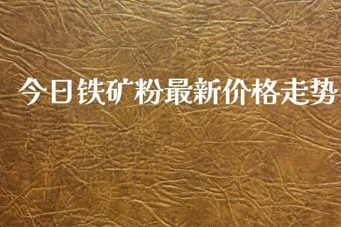 今日铁矿粉最新价格走势_https://www.kuaijiepai.net_期货在线_第1张