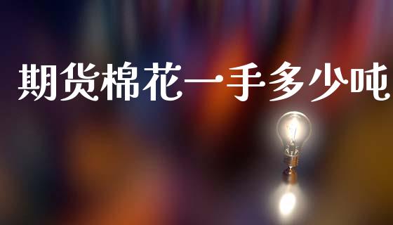 期货棉花一手多少吨_https://www.kuaijiepai.net_期货资讯_第1张