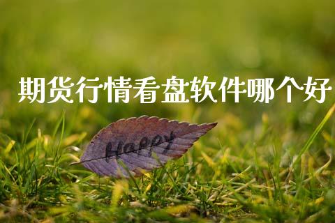 期货行情看盘软件哪个好_https://www.kuaijiepai.net_国际期货_第1张
