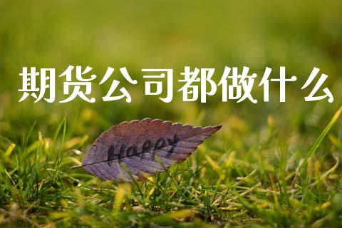 期货公司都做什么_https://www.kuaijiepai.net_国际期货_第1张