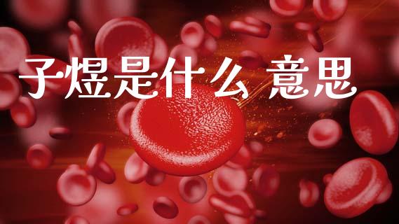 子煜是什么 意思_https://www.kuaijiepai.net_新股新闻_第1张