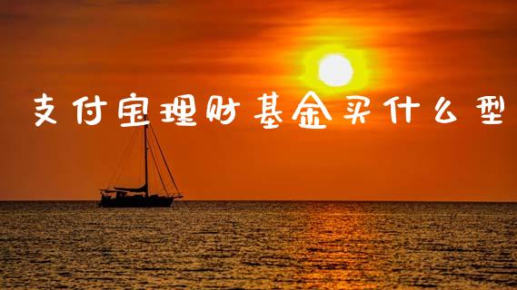 支付宝理财基金买什么型_https://www.kuaijiepai.net_投资理财_第1张