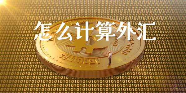 怎么计算外汇_https://www.kuaijiepai.net_期货在线_第1张