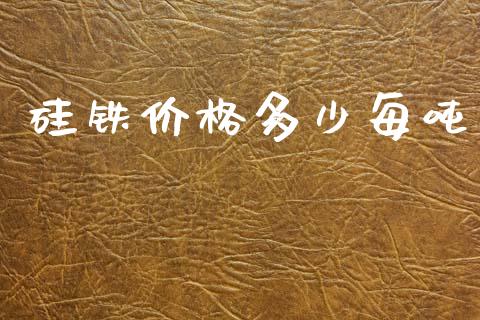 硅铁价格多少每吨_https://www.kuaijiepai.net_股票理论_第1张