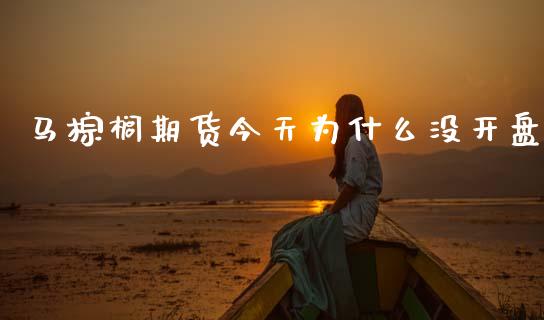 马棕榈期货今天为什么没开盘_https://www.kuaijiepai.net_期货在线_第1张