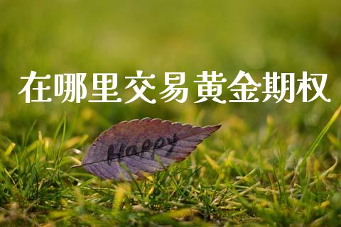 在哪里交易黄金期权_https://www.kuaijiepai.net_国际股建_第1张