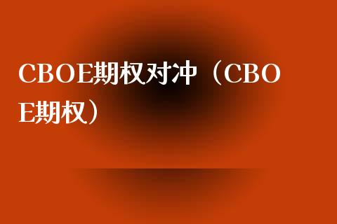 CBOE期权对冲（CBOE期权）_https://www.kuaijiepai.net_国际期货_第1张
