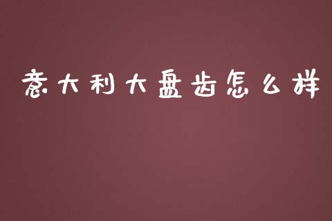意大利大盘齿怎么样_https://www.kuaijiepai.net_股票理论_第1张
